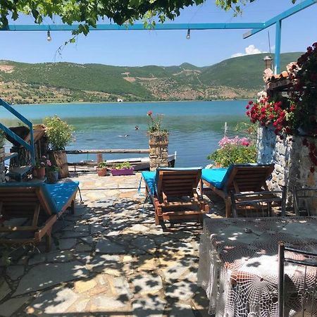 Rosa B&B Lin Bagian luar foto