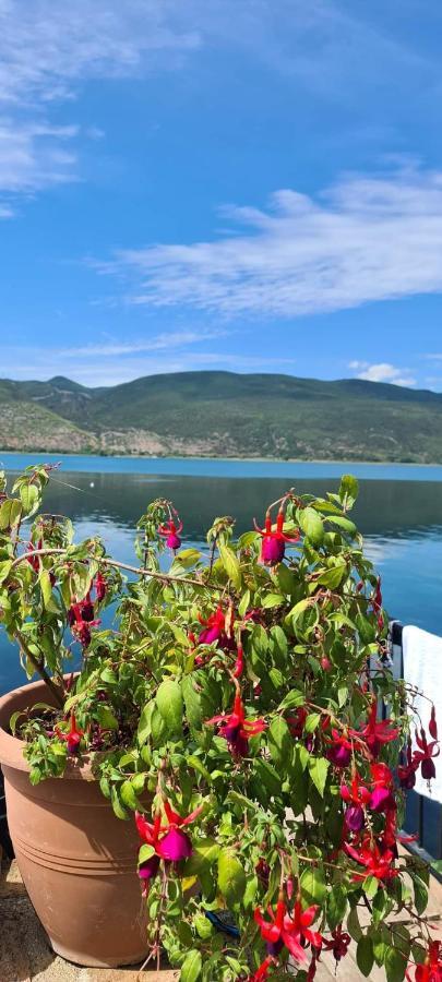 Rosa B&B Lin Bagian luar foto