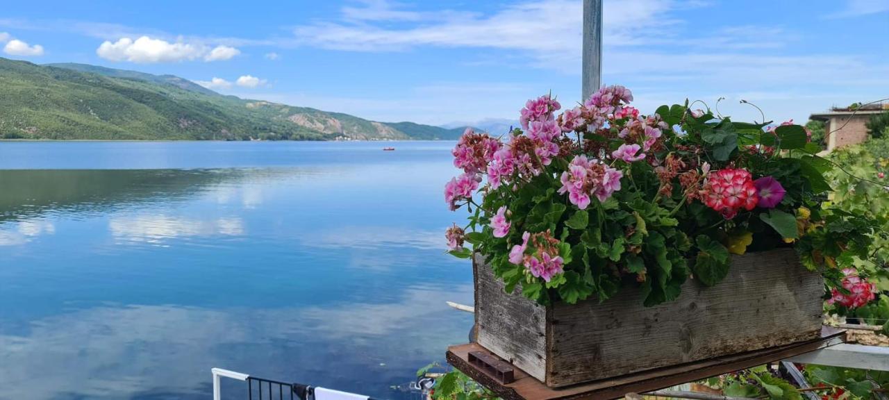 Rosa B&B Lin Bagian luar foto