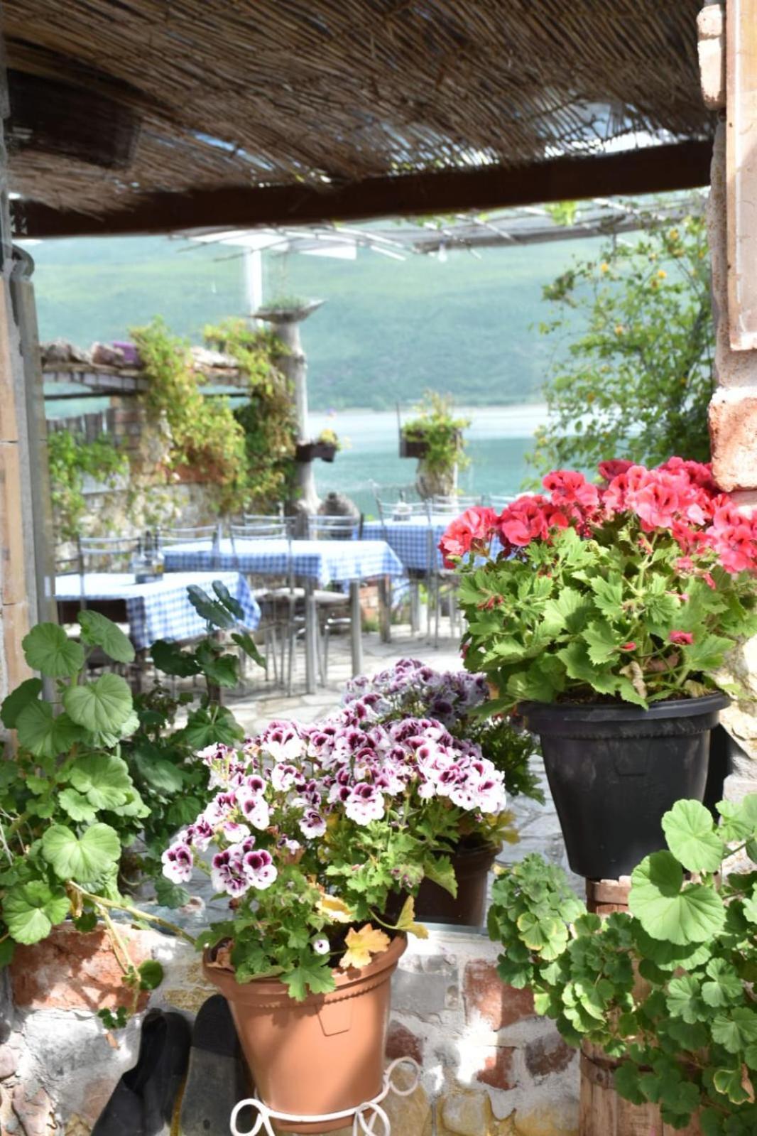 Rosa B&B Lin Bagian luar foto