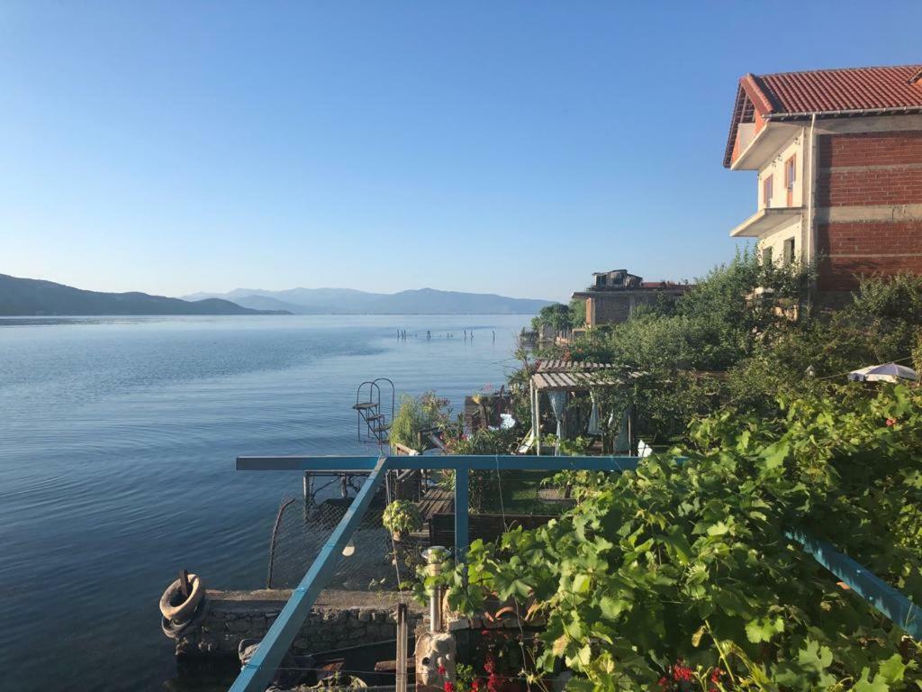 Rosa B&B Lin Bagian luar foto